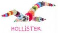 /album/marcas/hollister-jpg1/